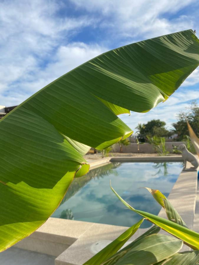 Casa Kinga Barriles Apartment ลอส บาร์ริเลส ภายนอก รูปภาพ