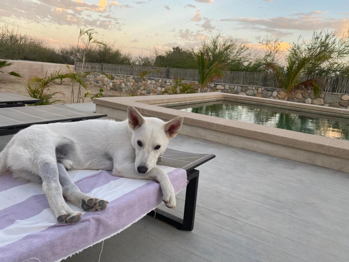 Casa Kinga Barriles Apartment ลอส บาร์ริเลส ภายนอก รูปภาพ